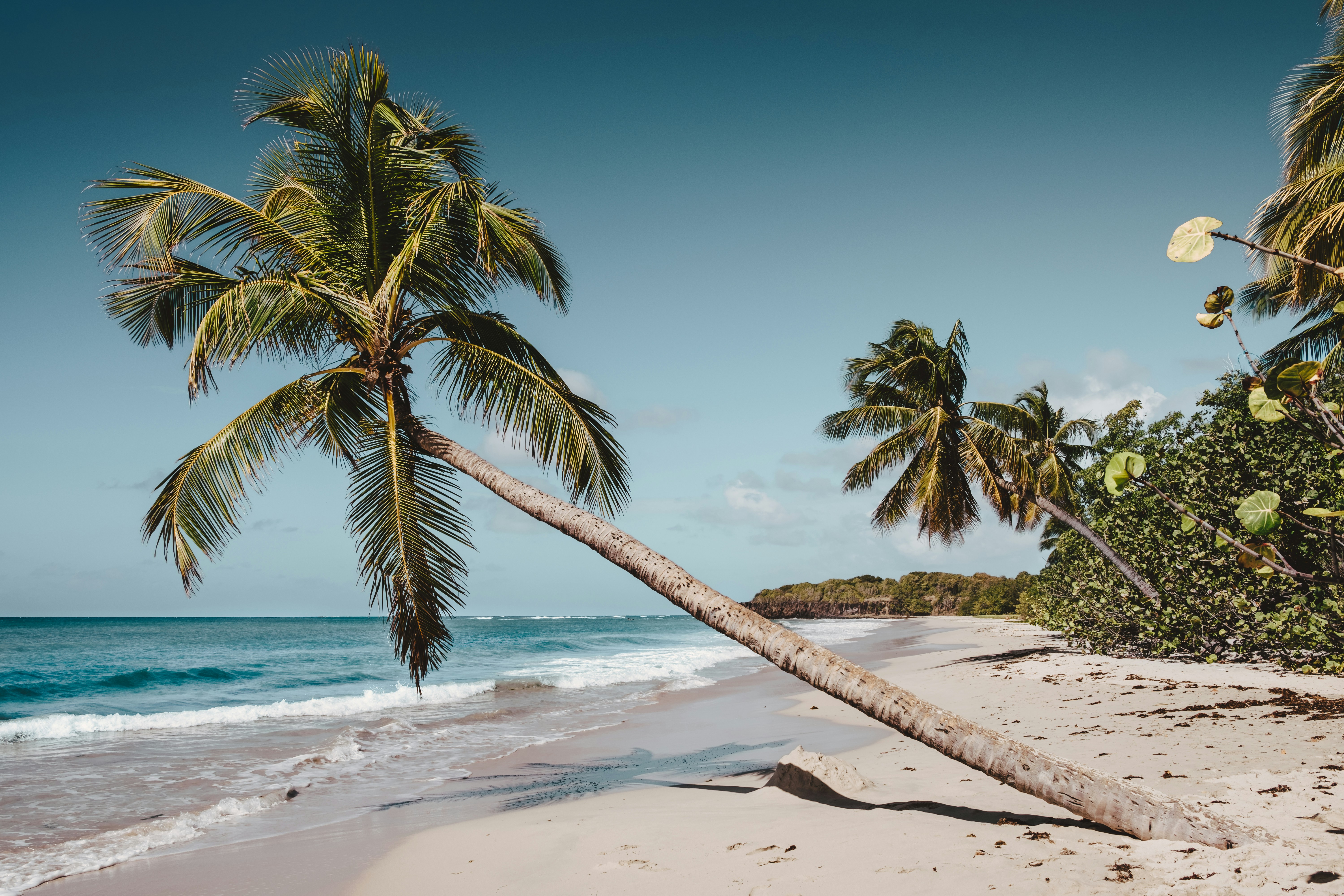 Martinique landscape