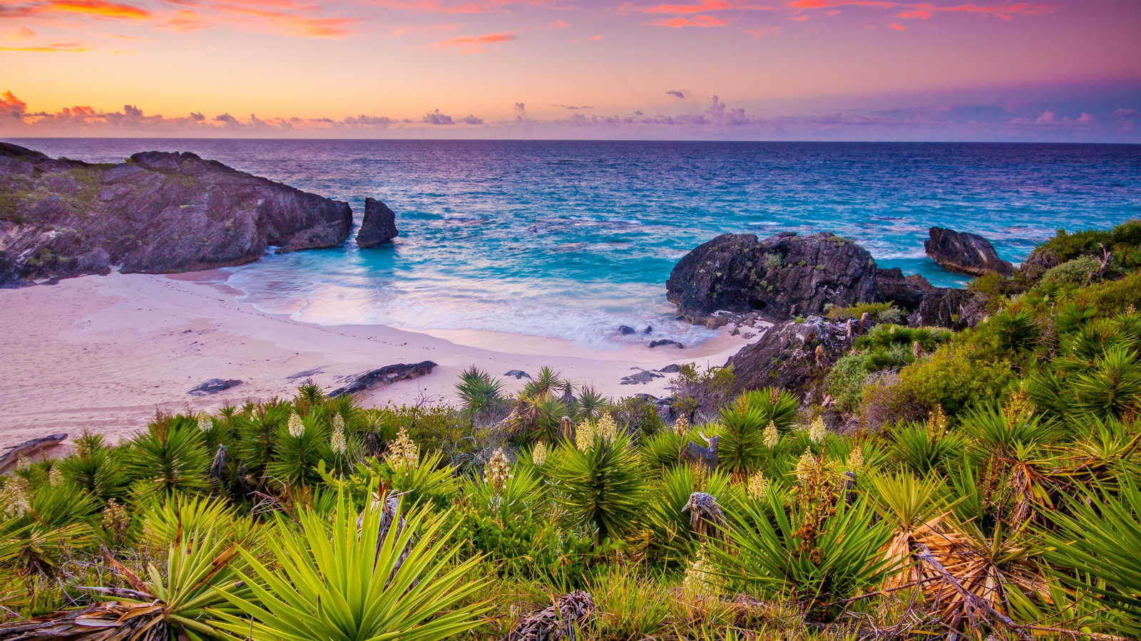 Bermuda landscape