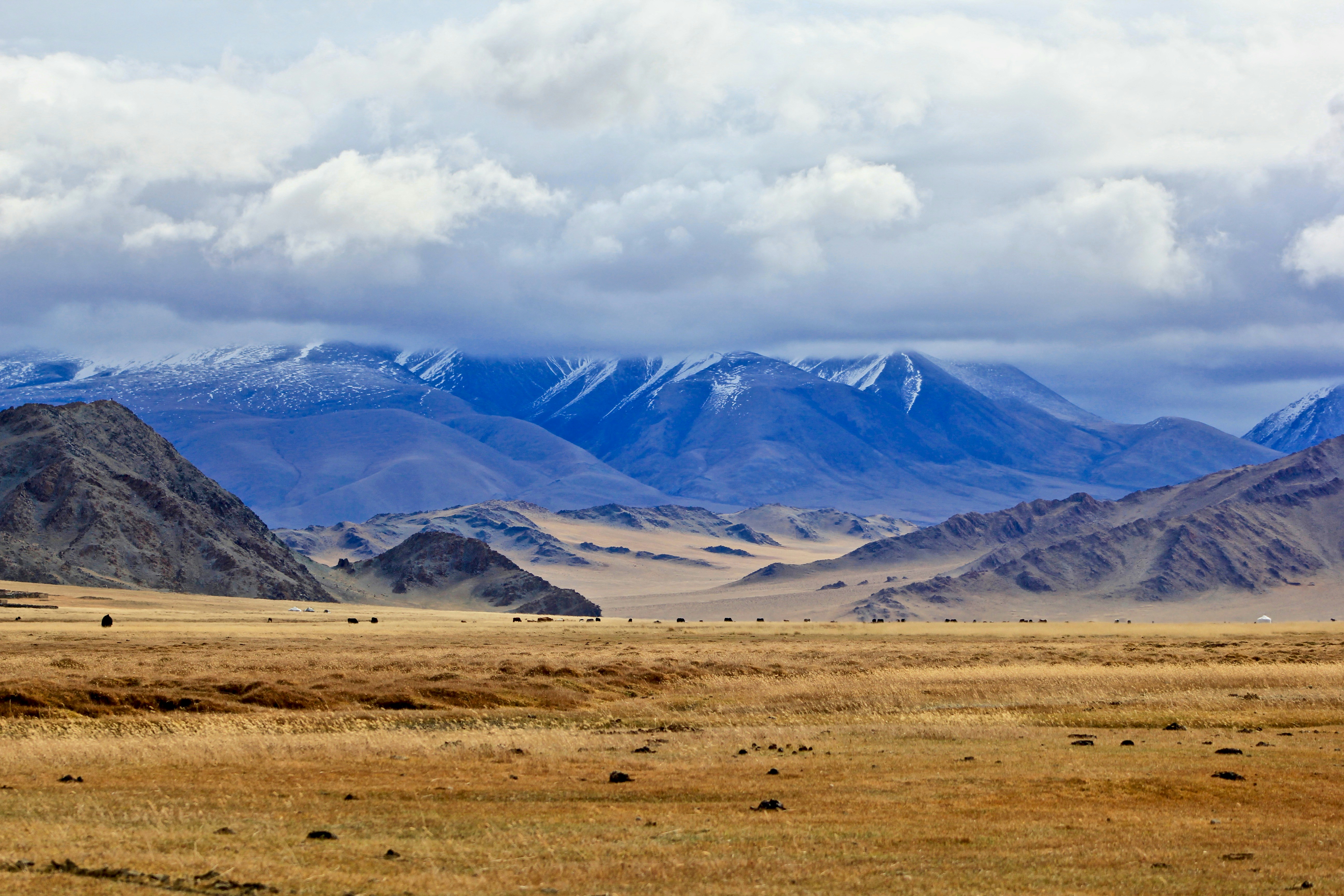 Mongolia landscape