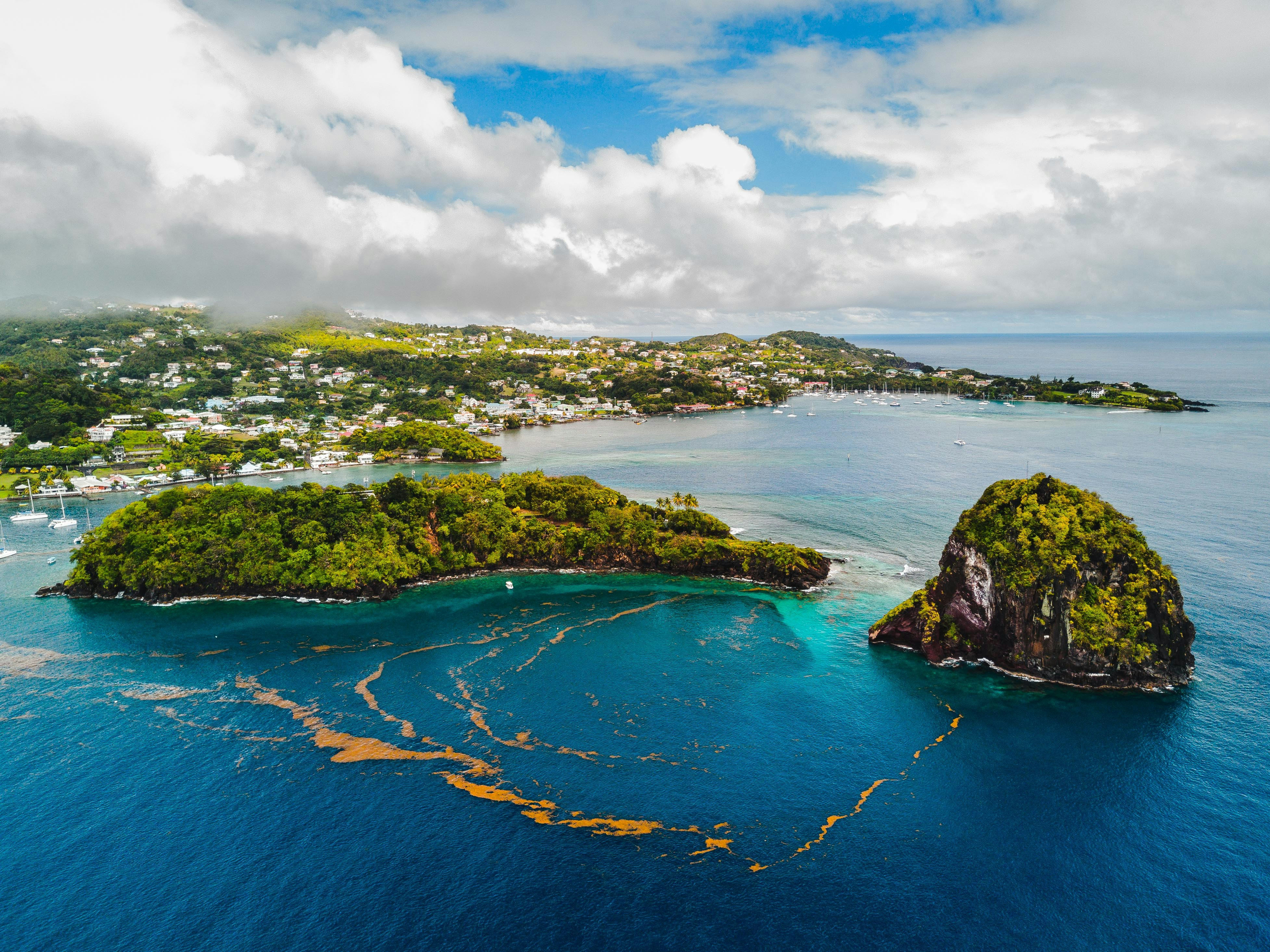 Saint Vincent and the Grenadines landscape