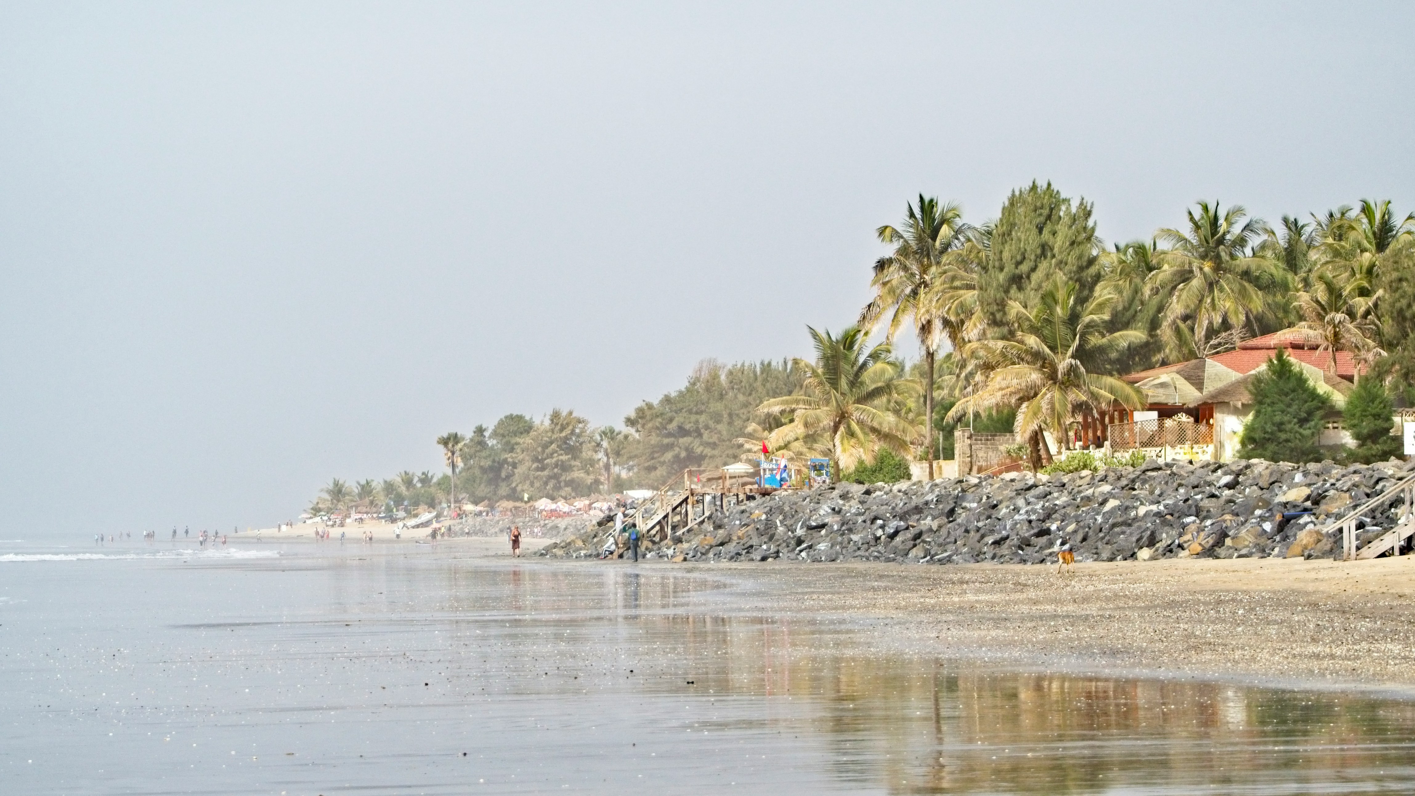 Gambia landscape
