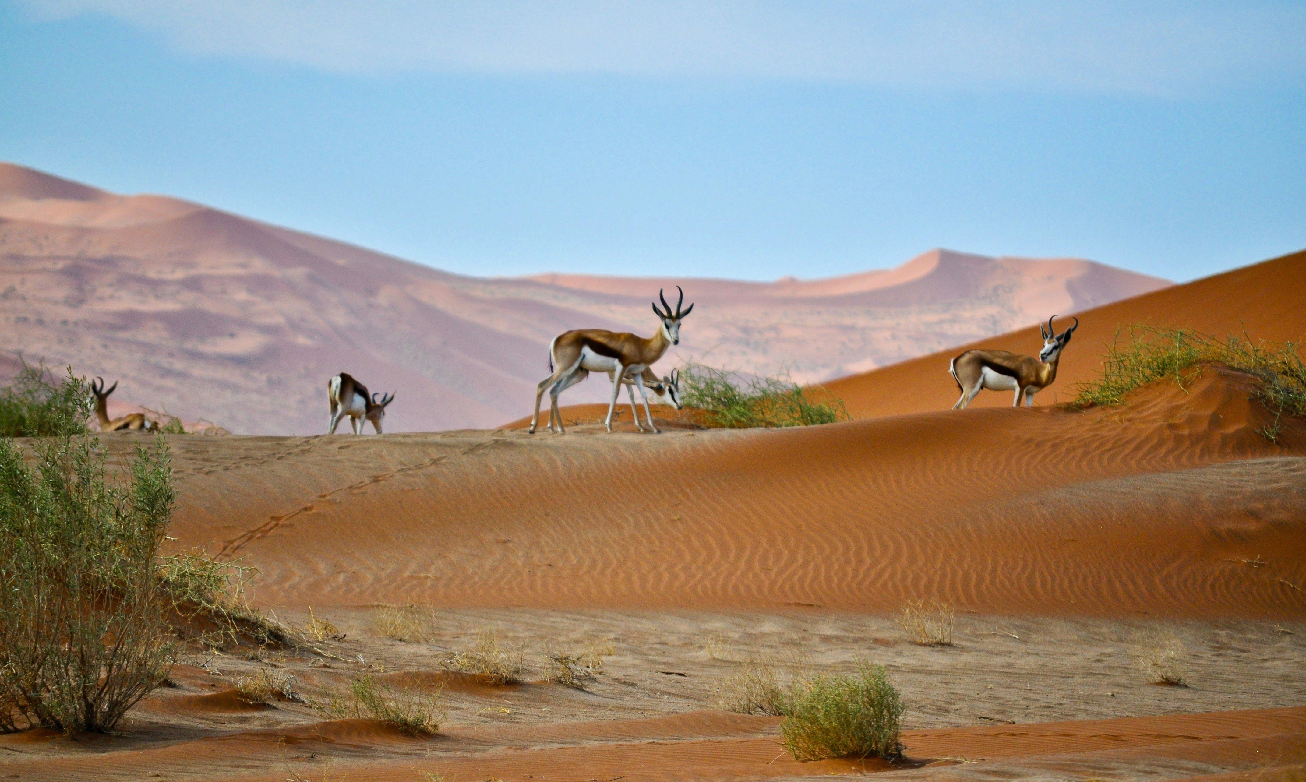 Namibia landscape