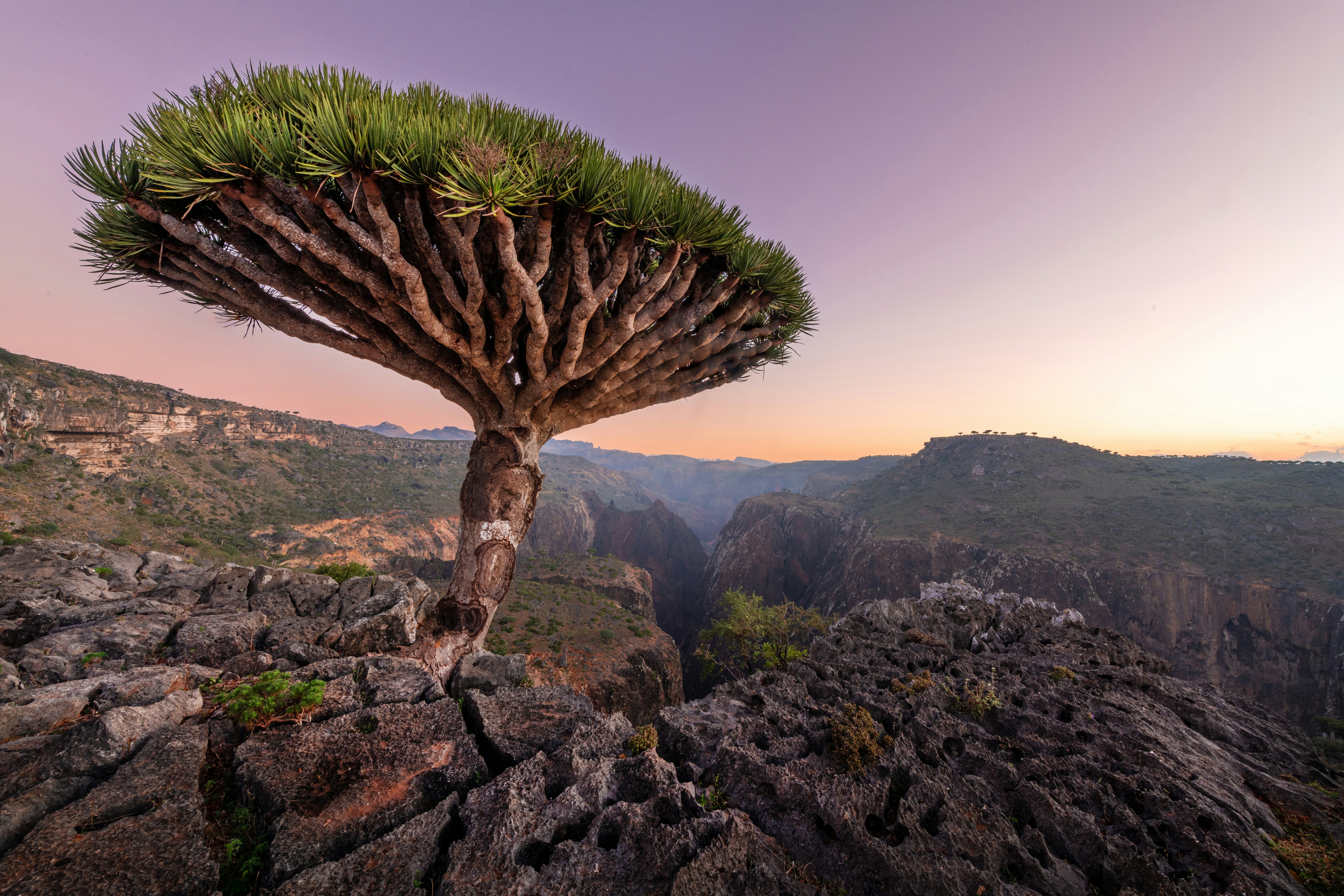 Yemen landscape