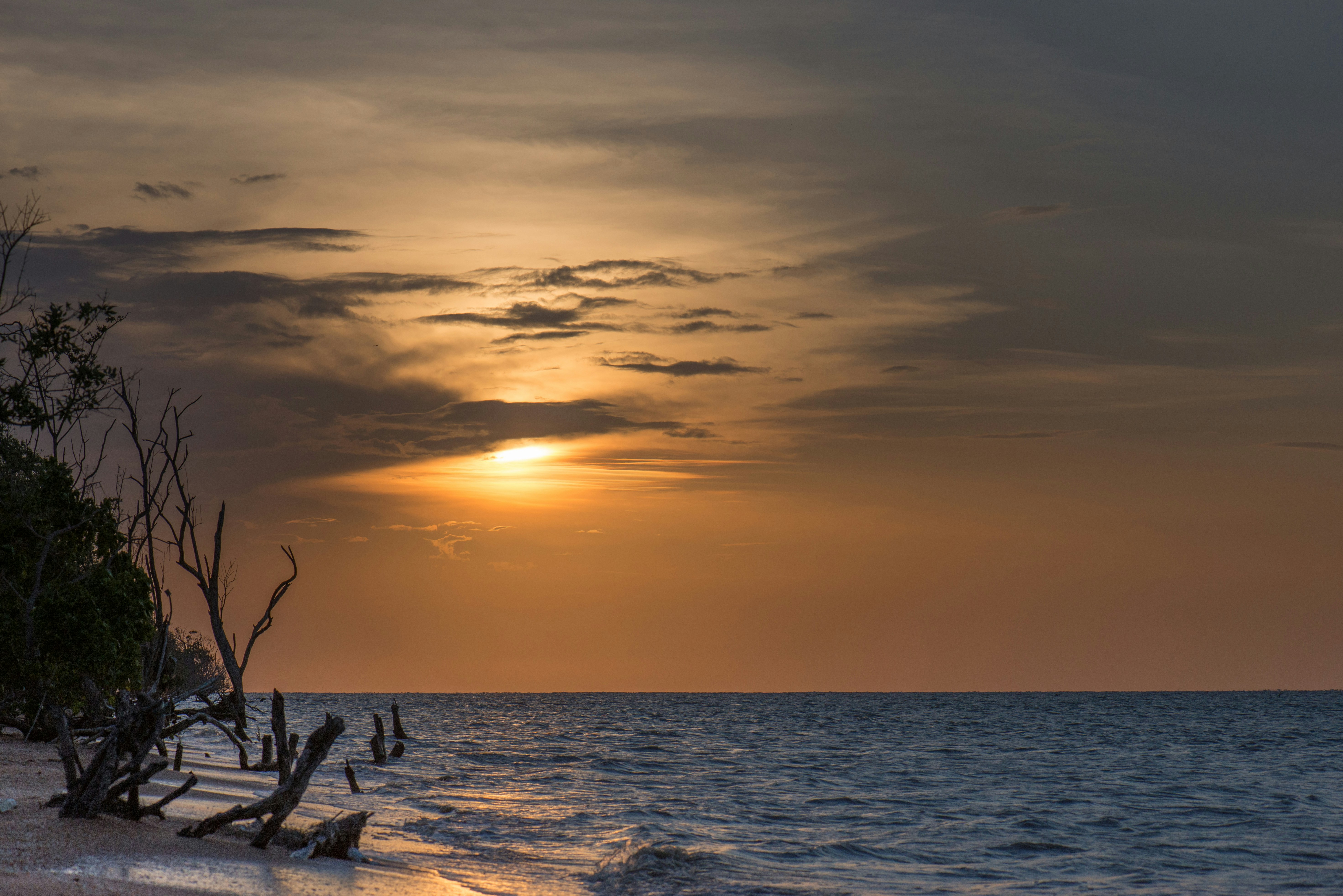 Suriname landscape
