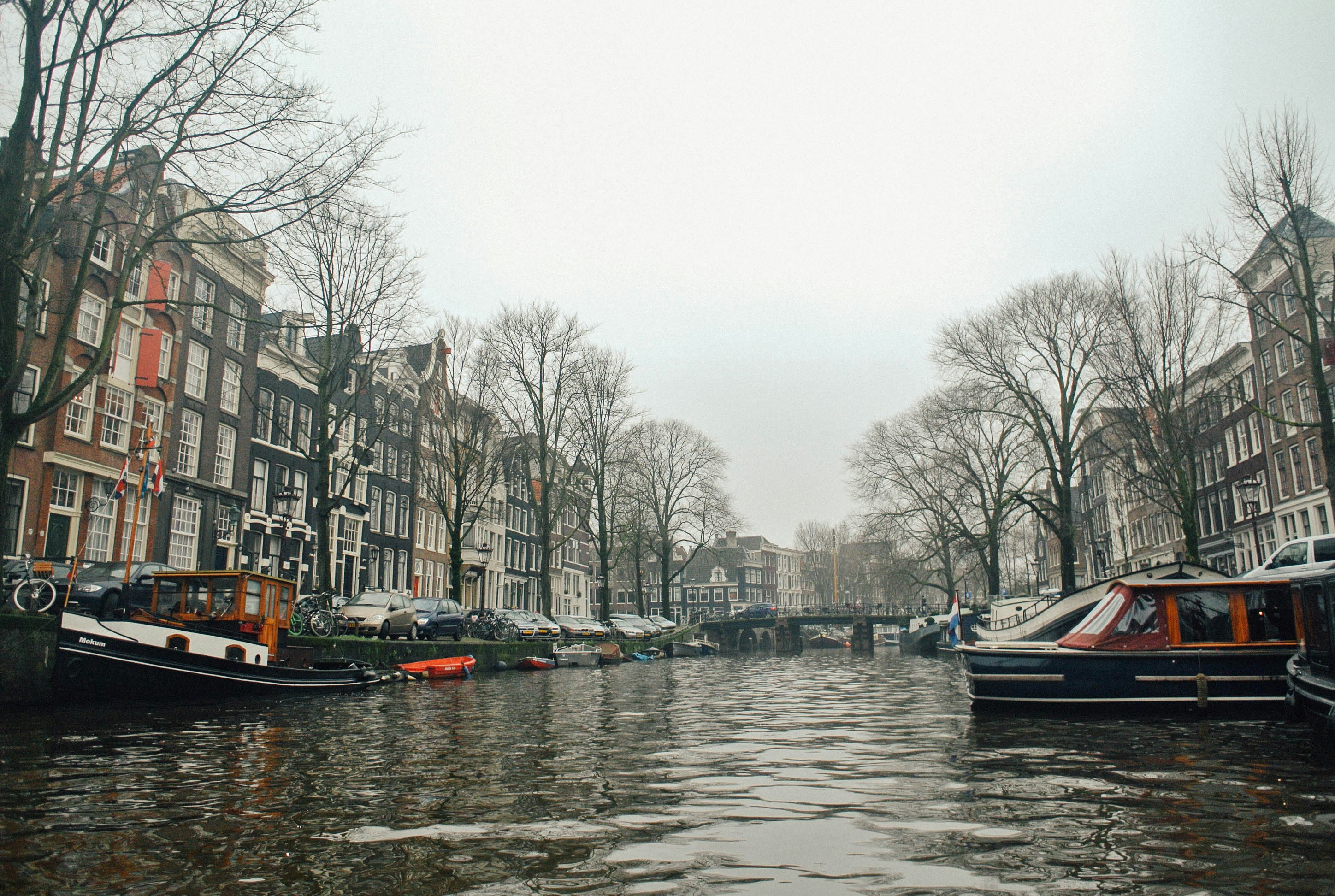 The Netherlands landscape