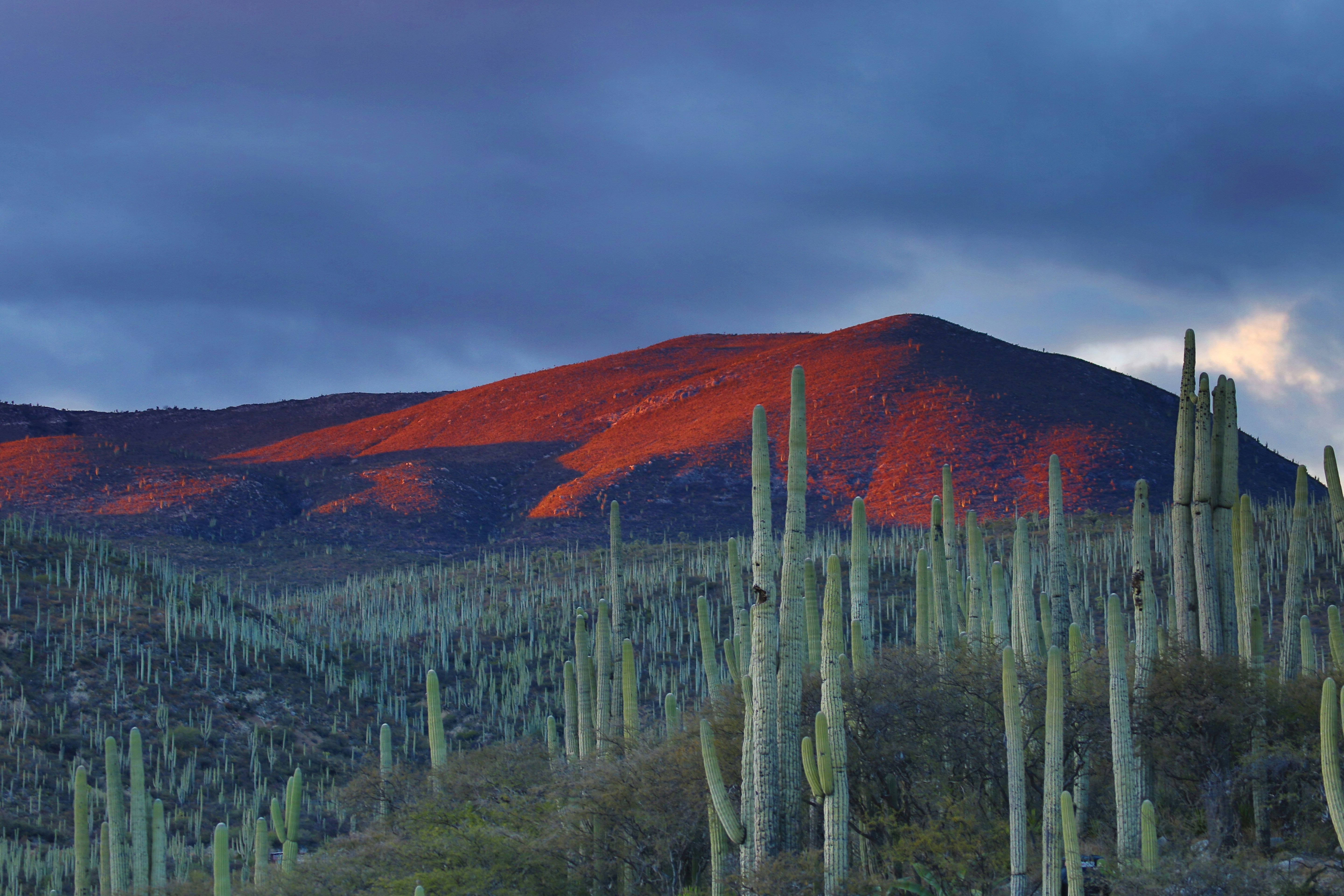 Mexico landscape