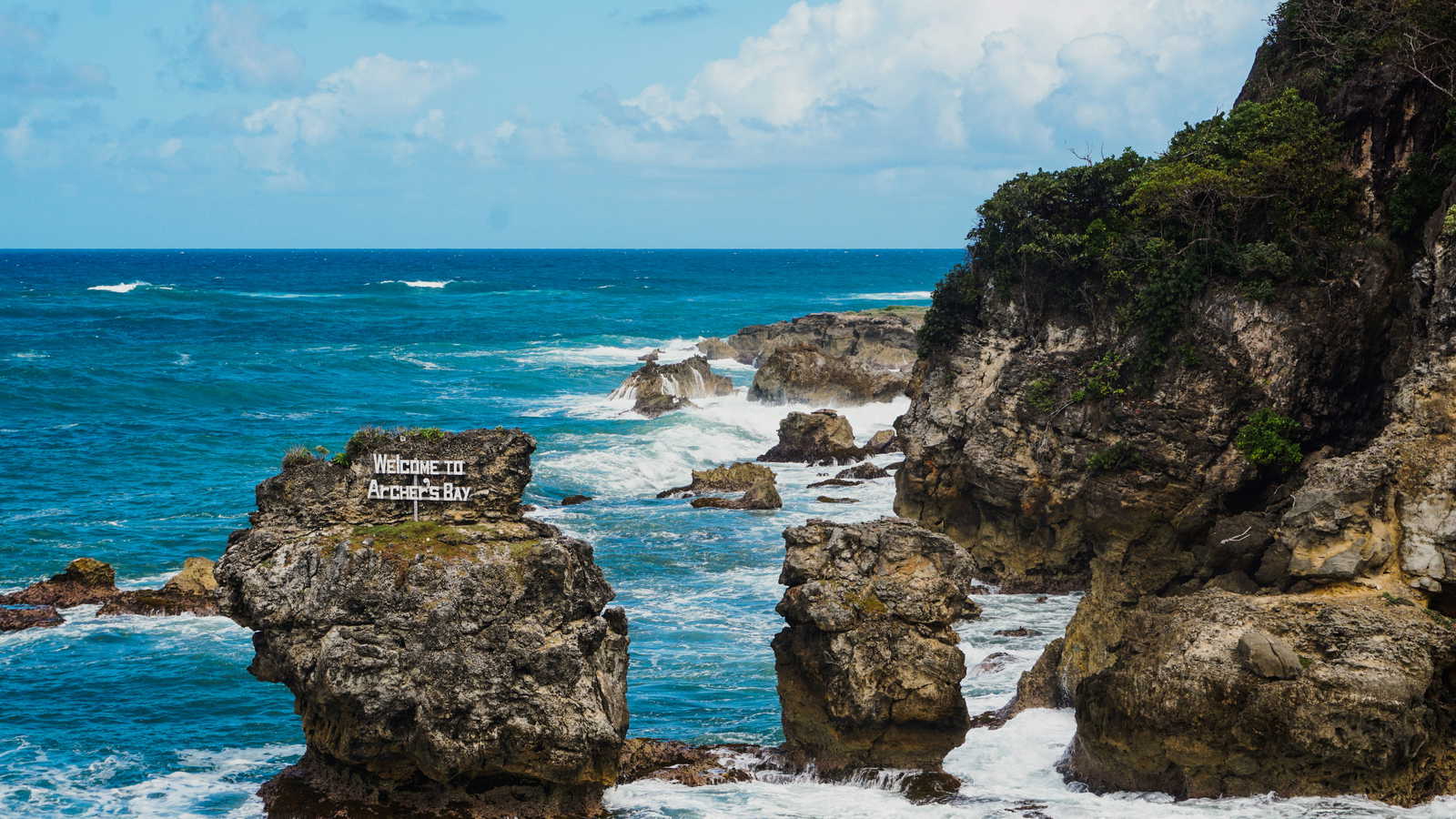 Barbados landscape