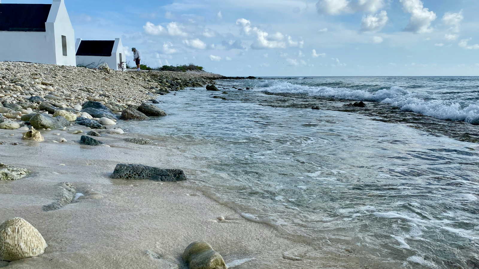 Caraibi olandesi landscape