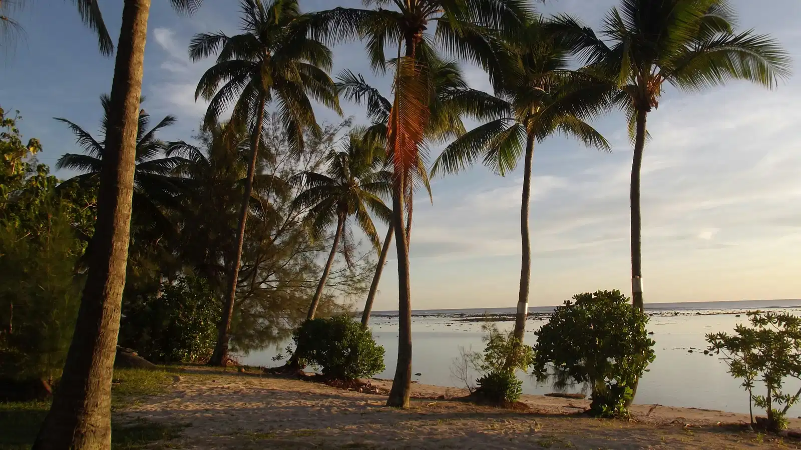 Cook Islands landscape