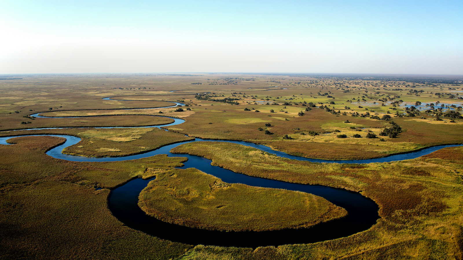Botswana landscape
