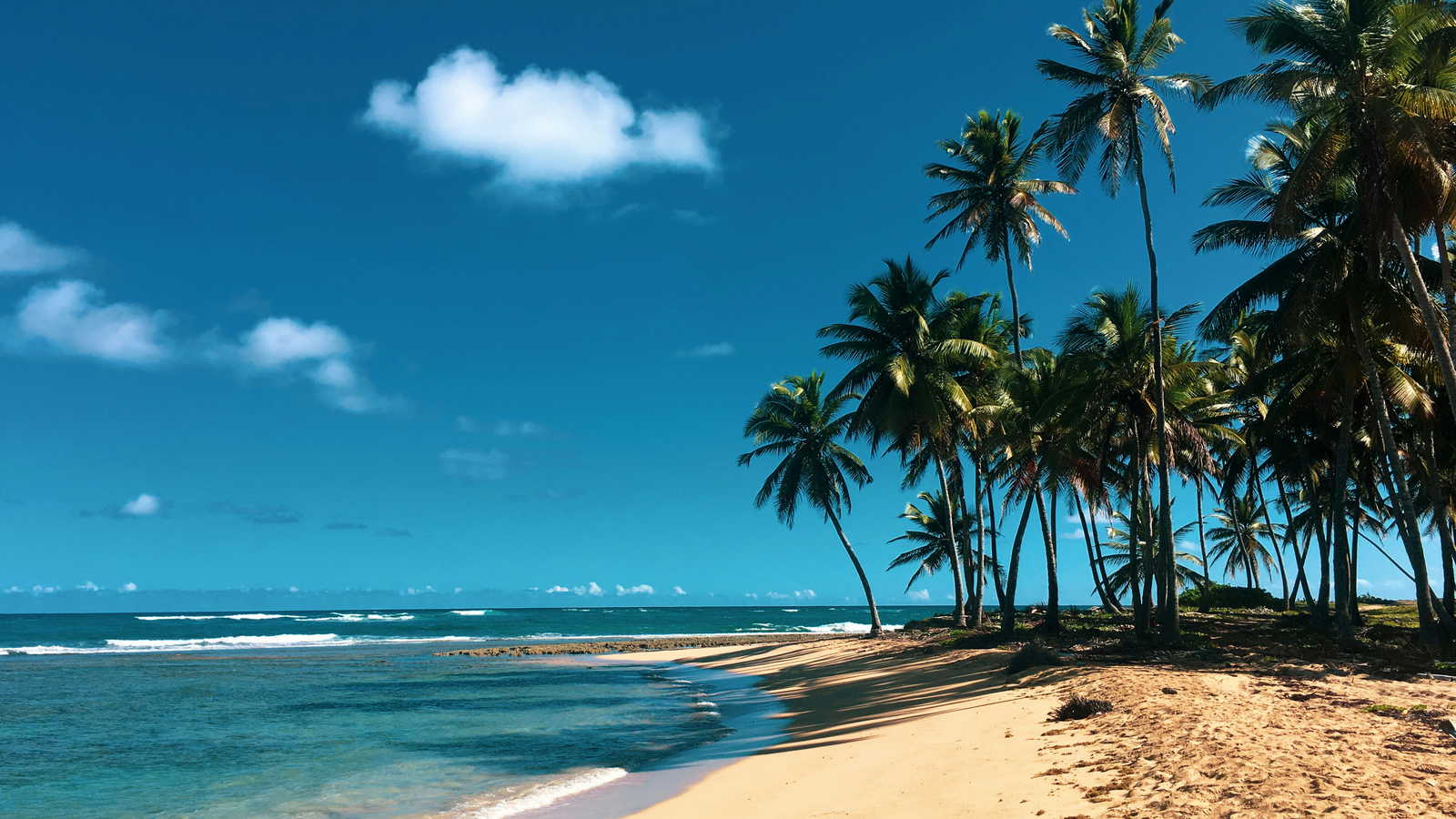 Dominican Republic landscape