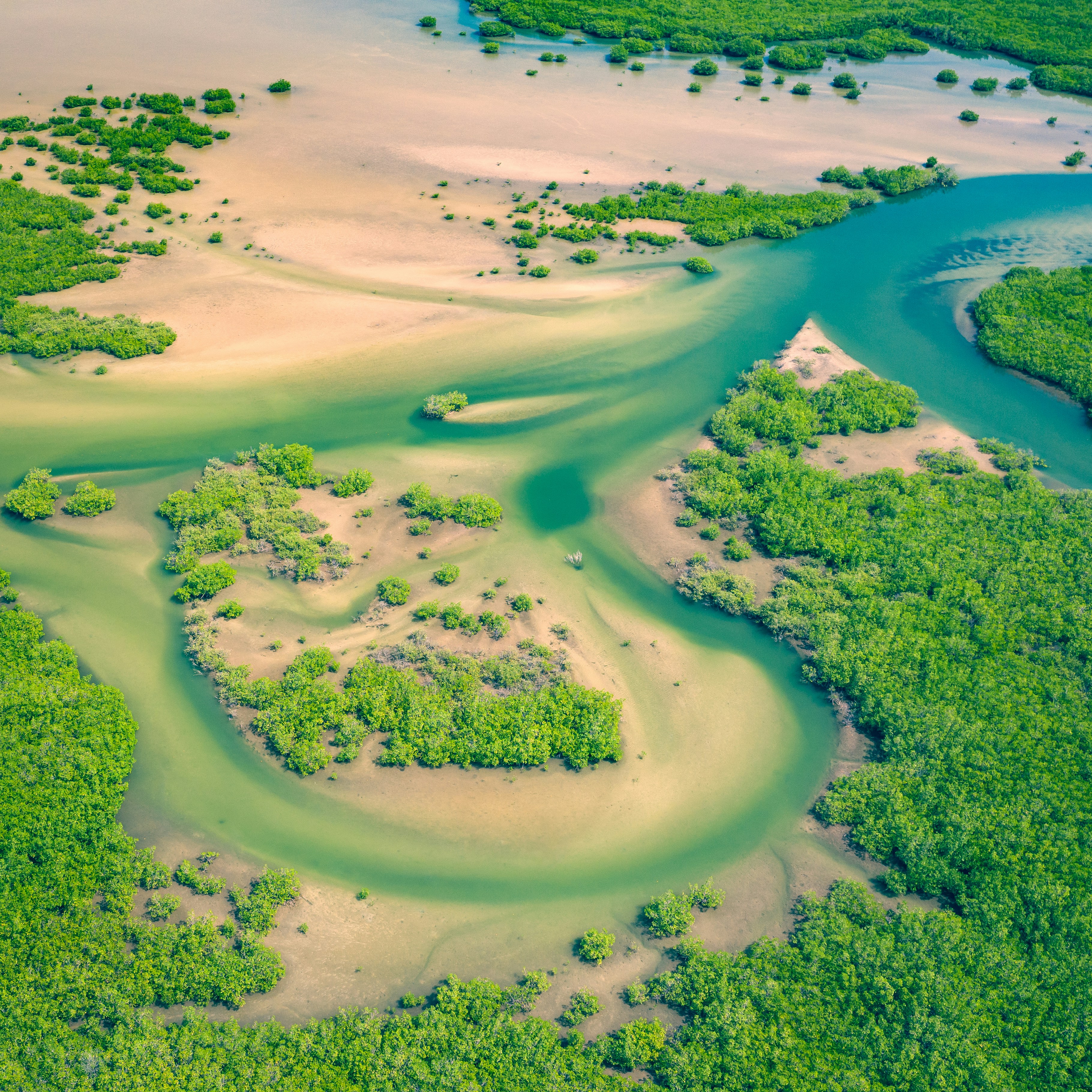 Senegal landscape