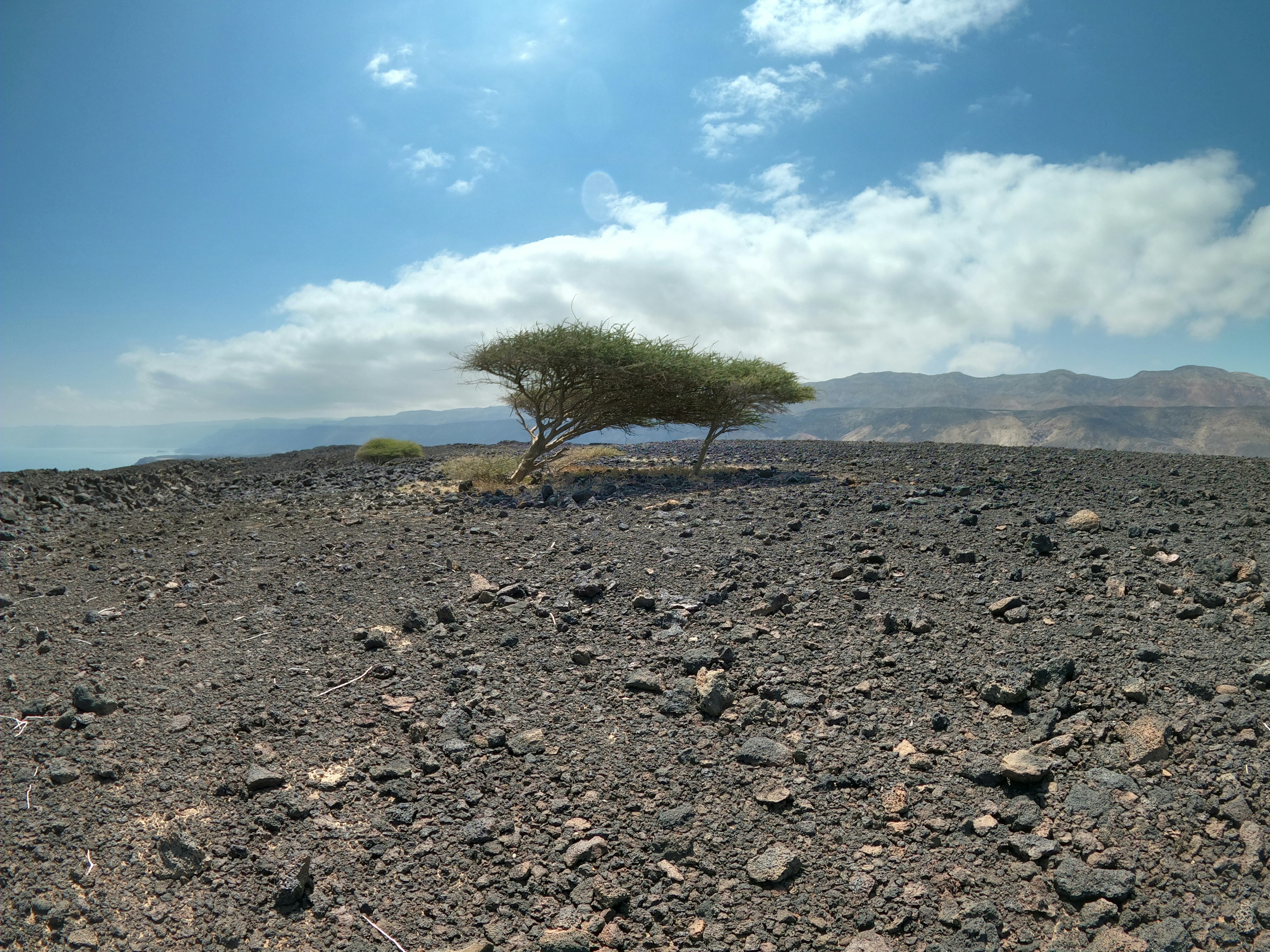 Djibouti landscape