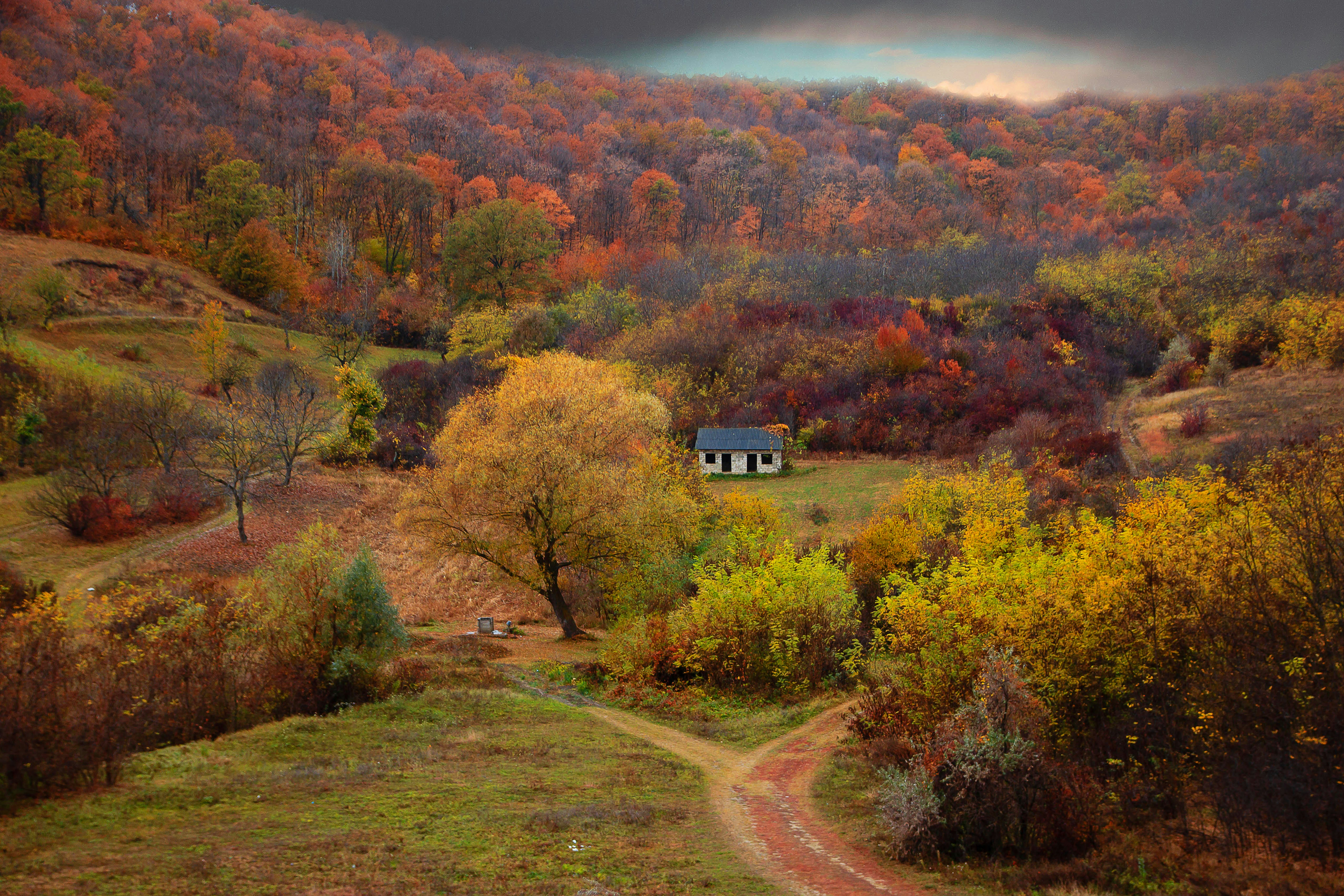 Moldova landscape