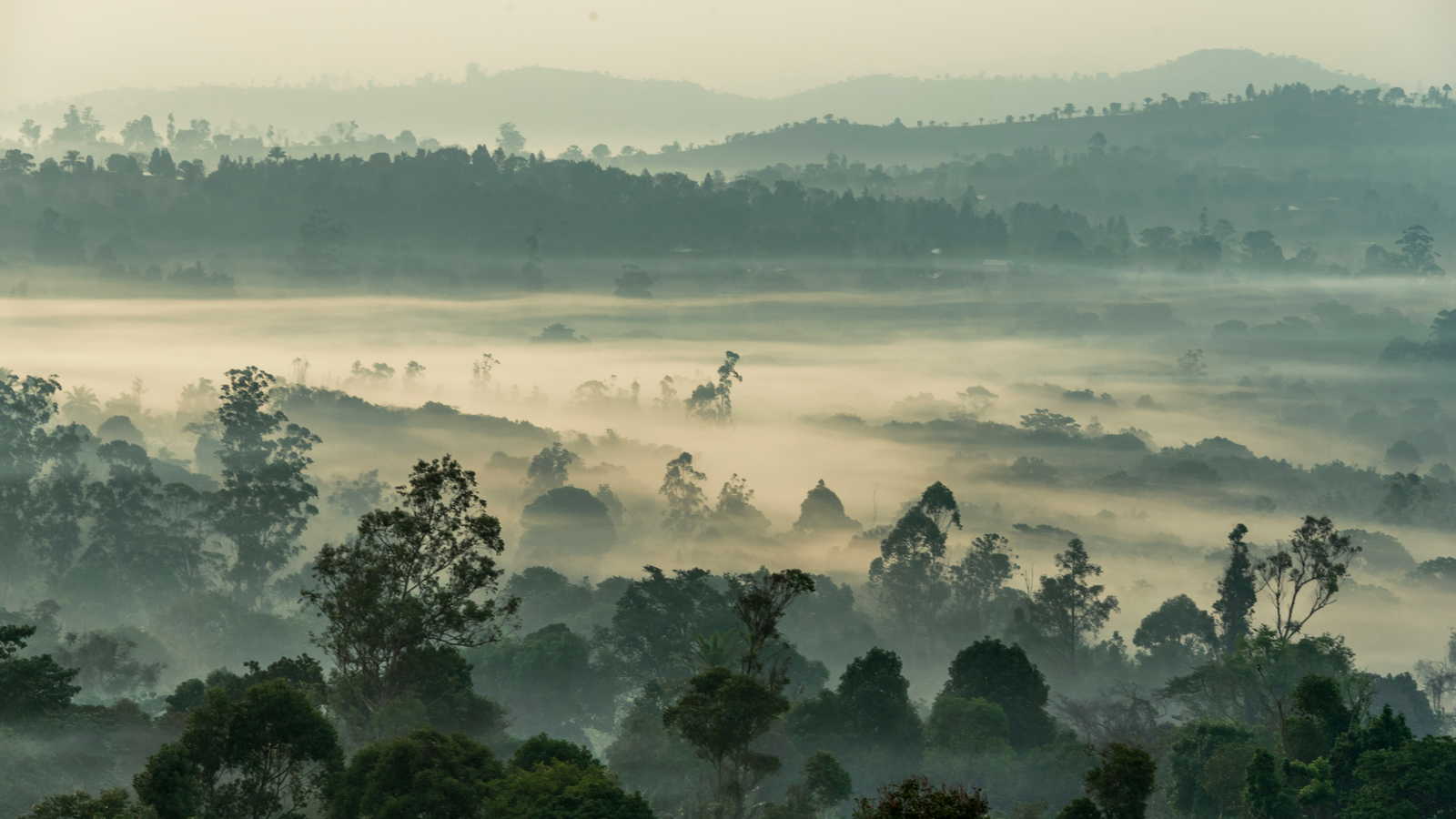 Camerun landscape