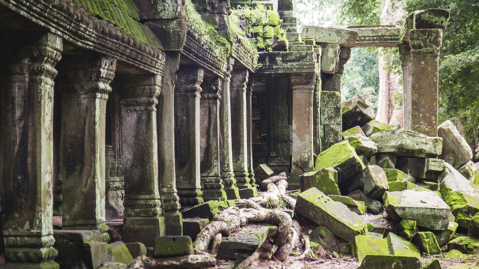 Cambodia landscape