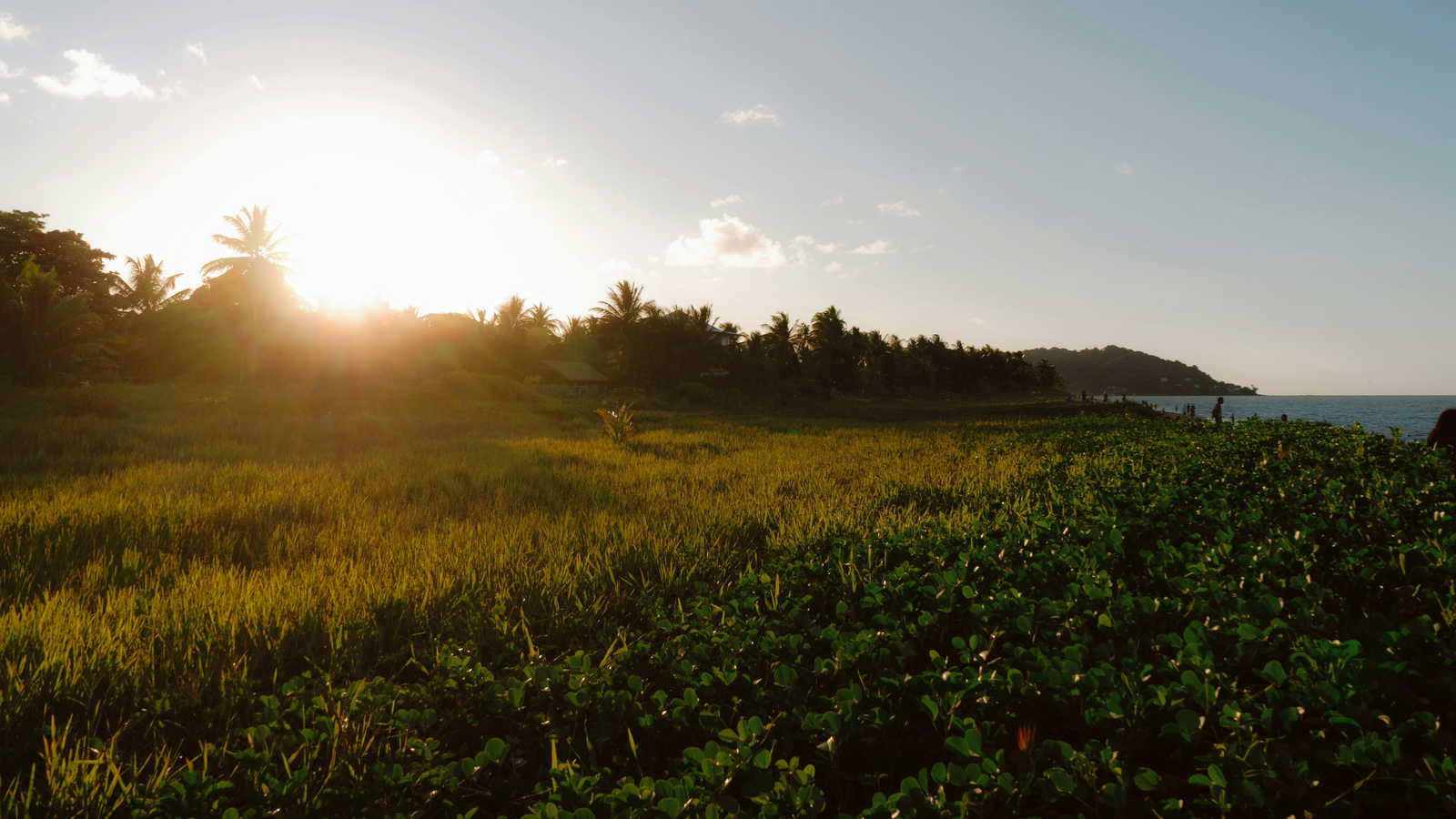 French Guiana landscape