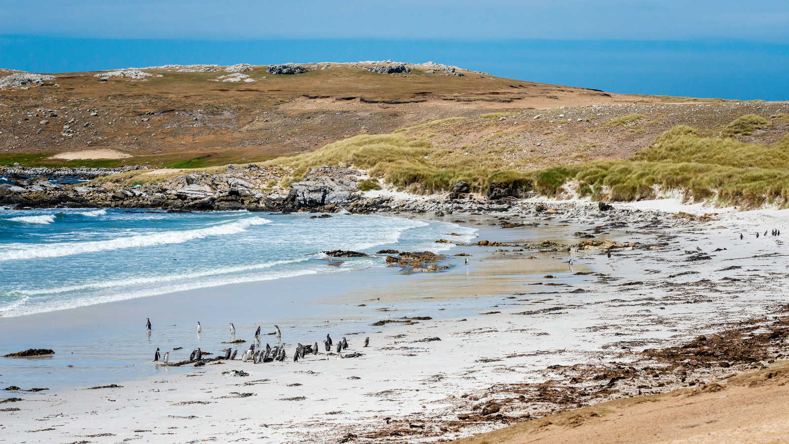 Falkland Islands landscape