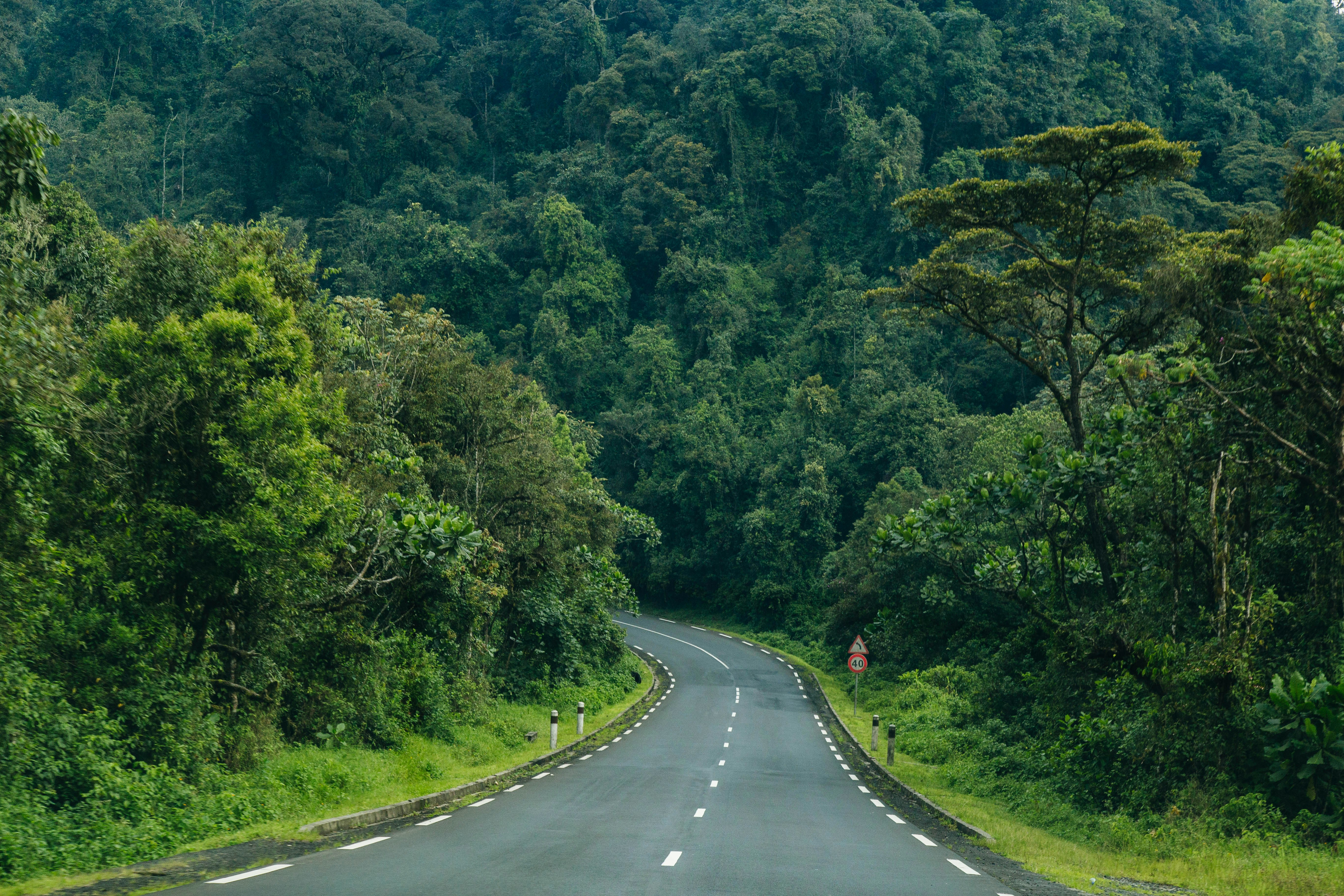Rwanda landscape