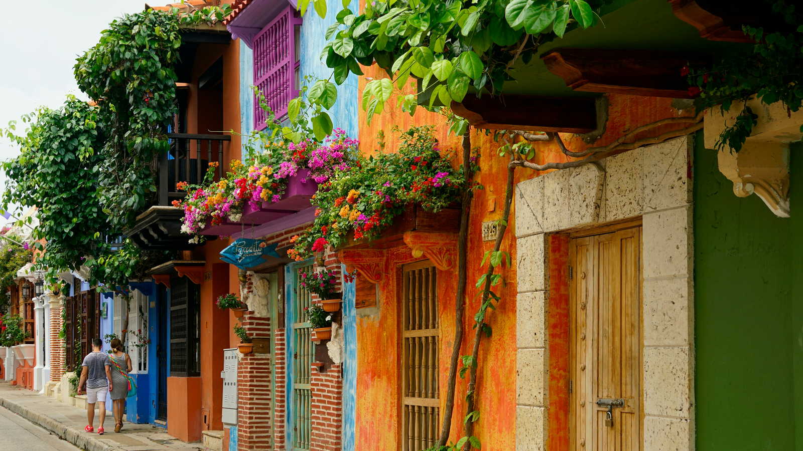 Colombia landscape