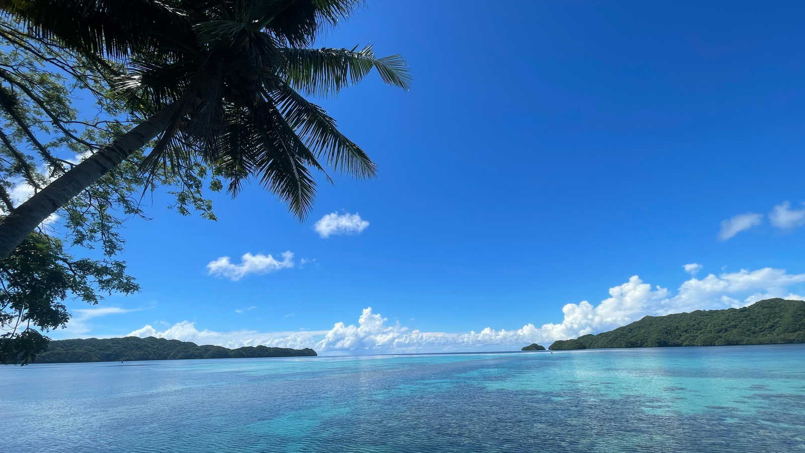 Palau landscape