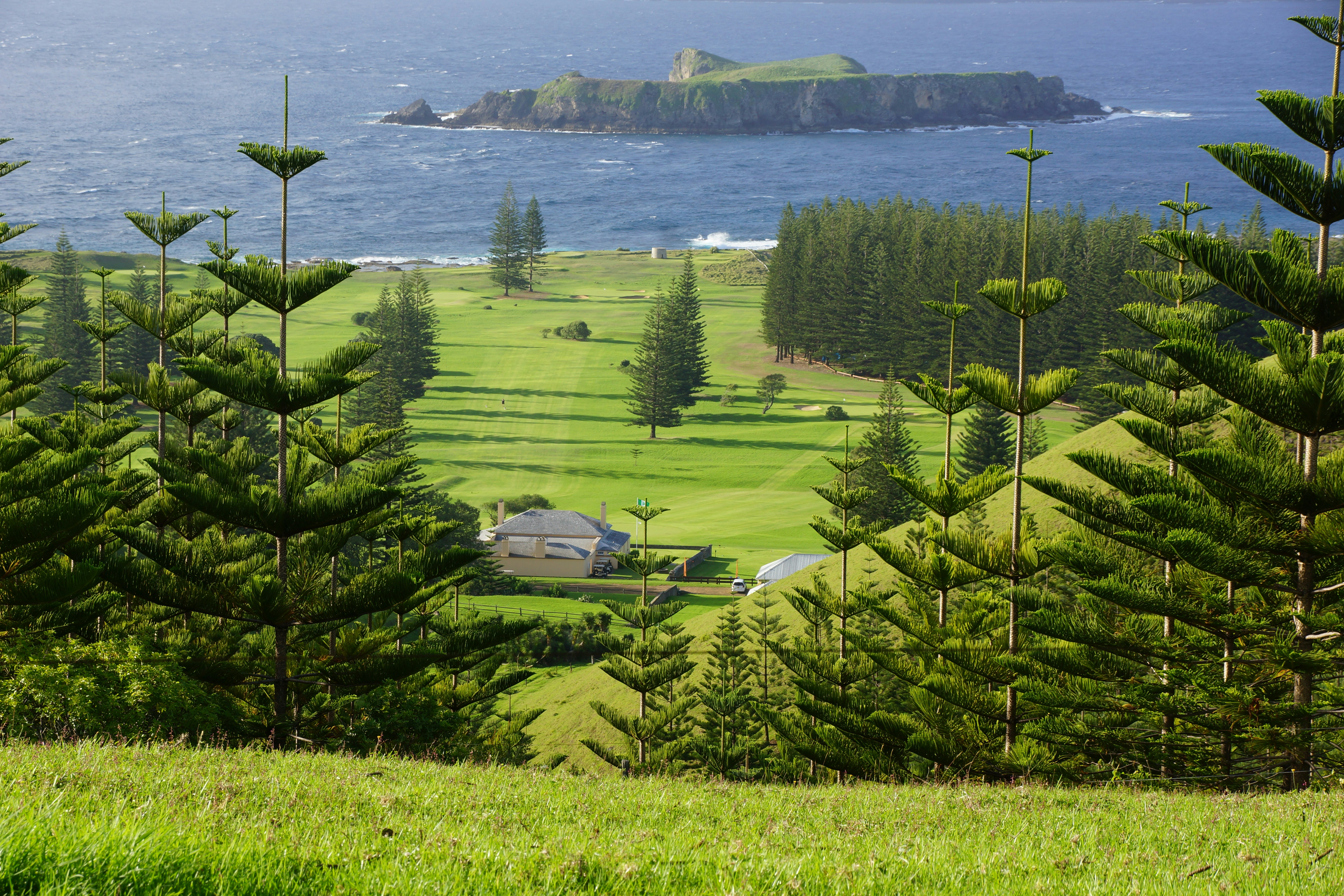 Norfolk Island landscape
