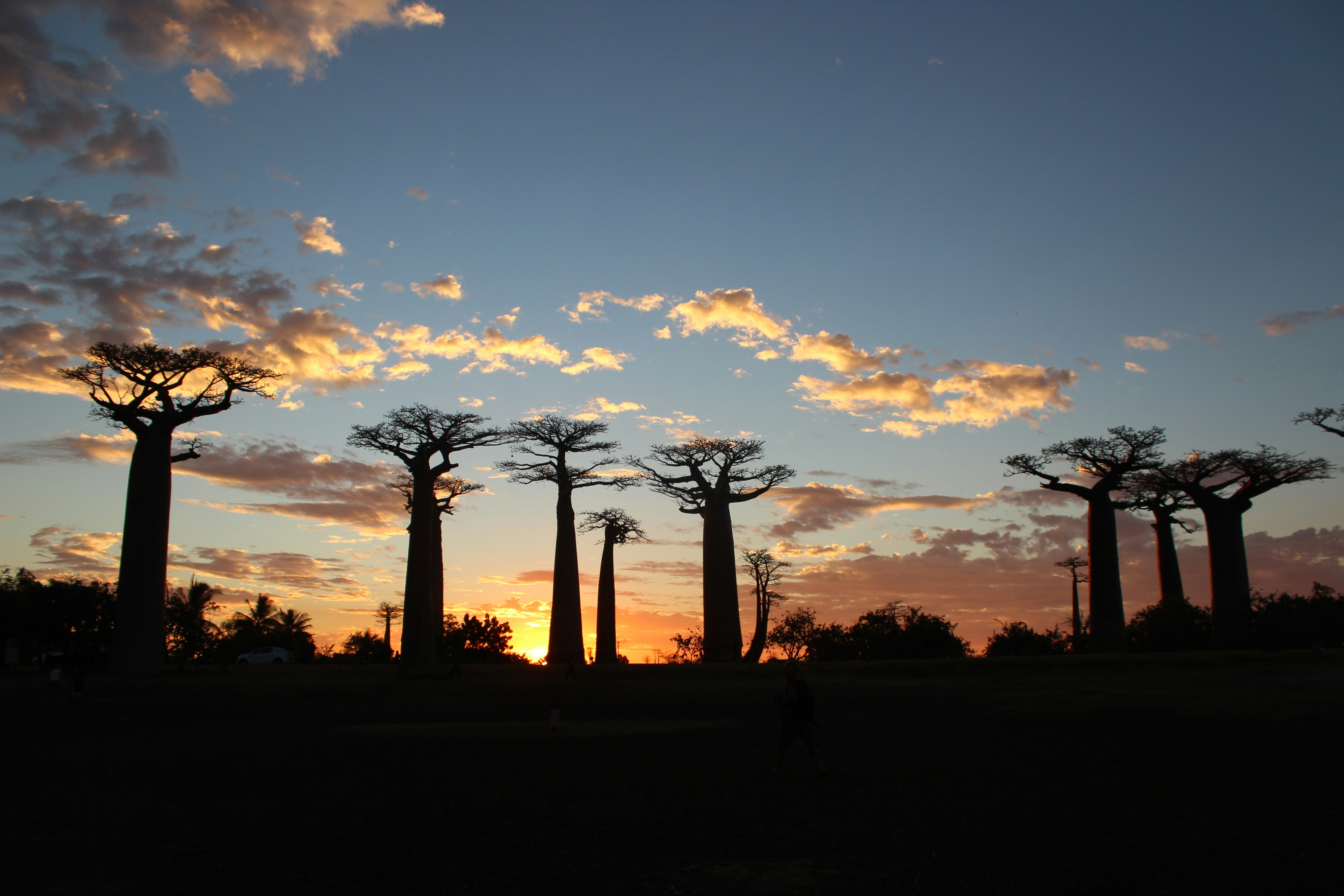 Madagascar landscape
