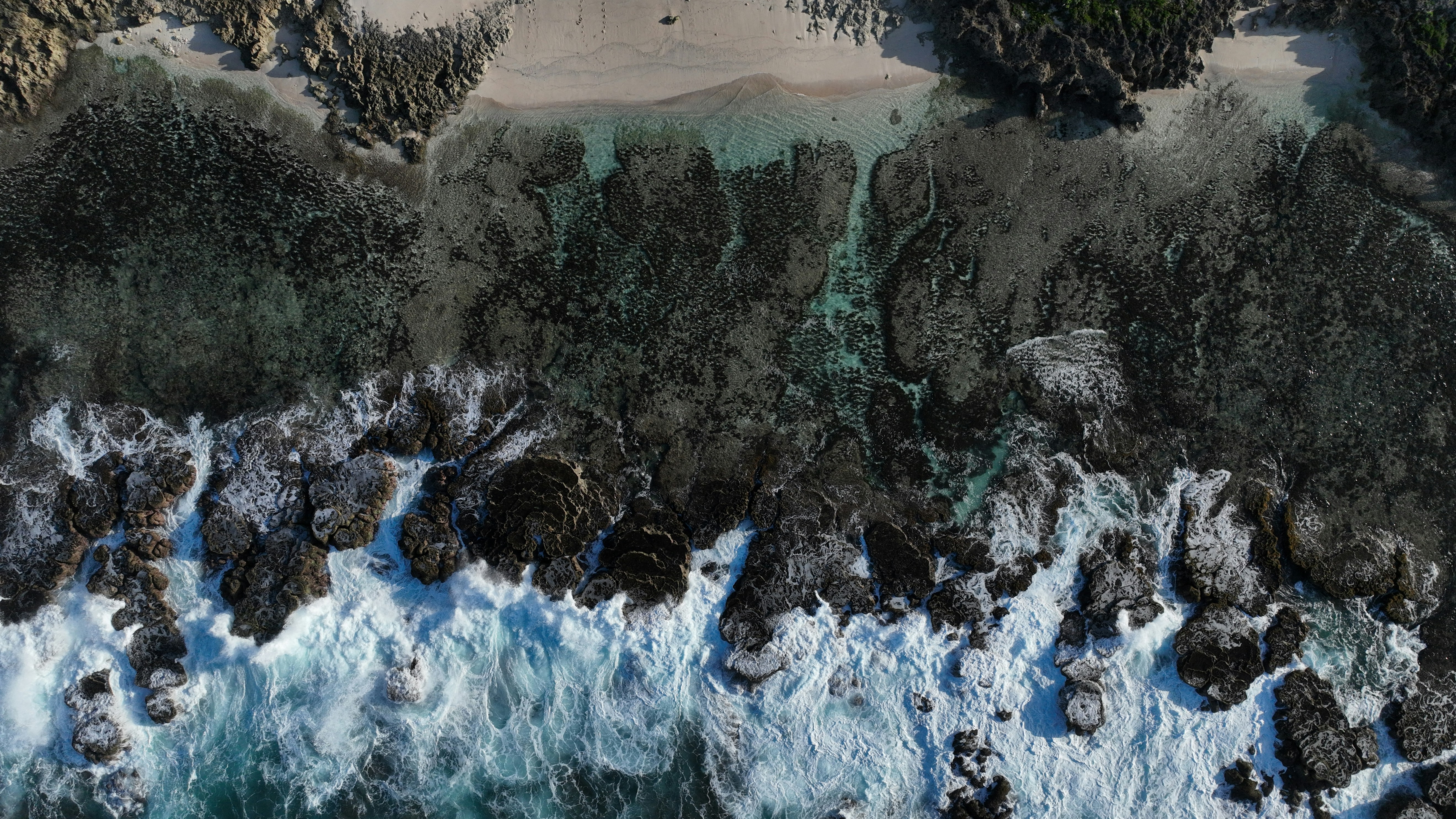 Tonga landscape