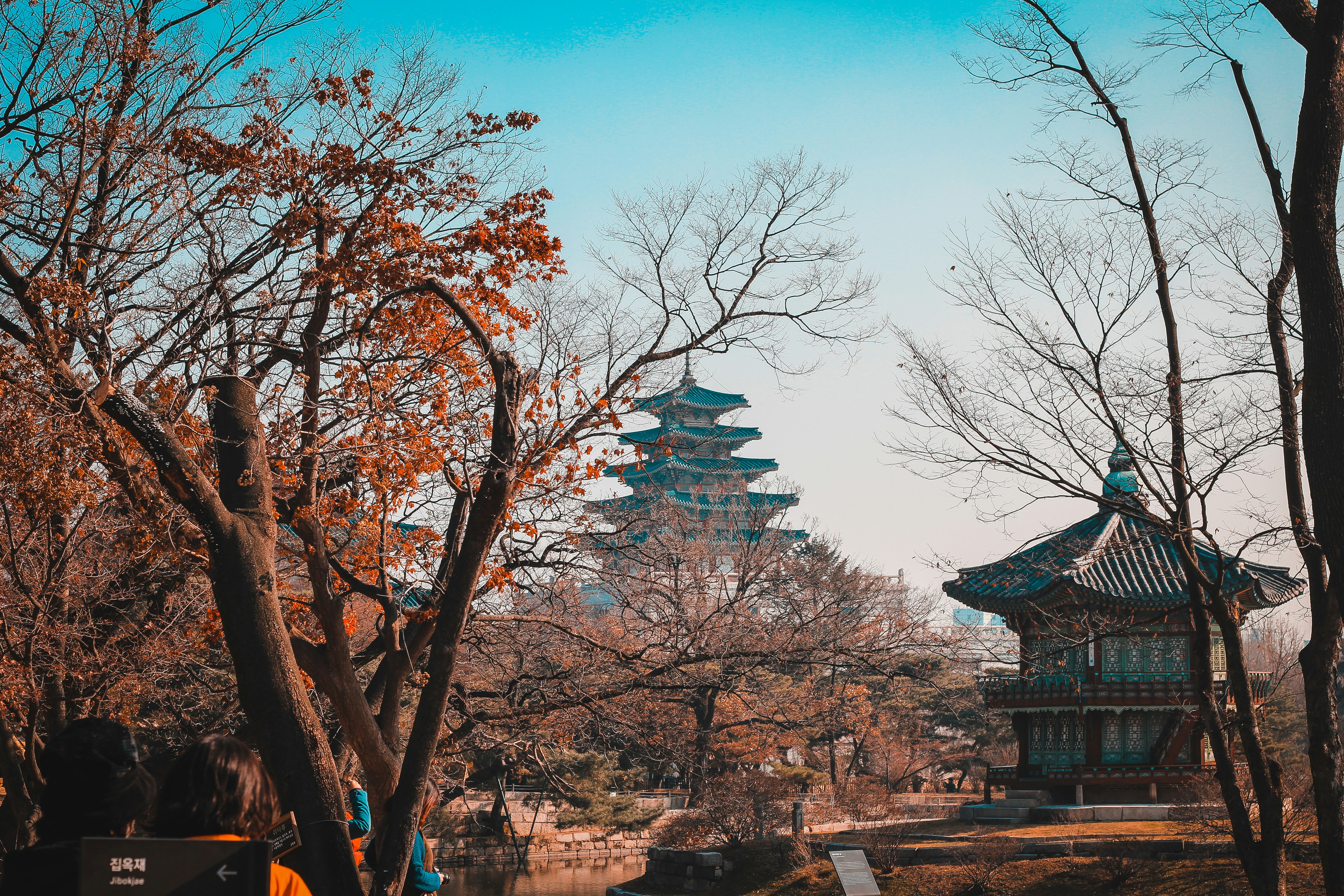 South Korea landscape